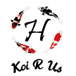 Koi R Us Logo